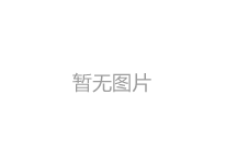 飞剪业绩